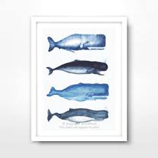 Details About Vintage Blue Whales Chart Sealife Art Print Poster Seaside Decor Wall Picture