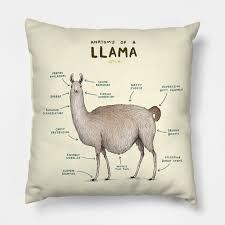 Anatomy Of A Llama