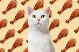 It is safe for cats in general. Can Cats Eat Turkey Daily Paws