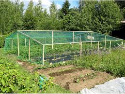 diy garden netting frame