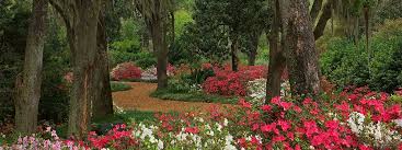 Bok Tower Gardens Lake Wales Fl