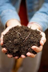 4 topsoil mistakes that may be