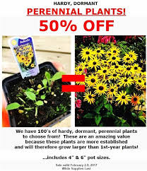New and used items, cars, real estate, jobs, services, vacation rentals and more virtually i have different perennial blooming flowers for sale. Amsterdamgreenhouses On Twitter Amazing Value 50 Off Dormant Perennials In 4 6 Pot Sizes Sale Valid February 2 8 2018 Hardy Perennial Plants Flowers Sale Special Love Gardening Westcoast Canada Local