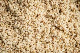 buckwheat nutrition and health benefits