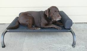 Petfusion Elevated Outdoor Dog Bed