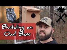 Building An Owl Box Screech Owl