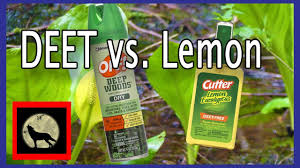 Lemon eucalyptus oil has been found to be the most effective natural diy mosquito repellent. Best Mosquito Repellent Actual In The Field Battle Off With Deet Vs Cutter S Lemon Eucalyptus Youtube