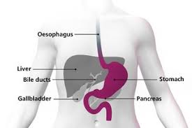what is stomach cancer nhs