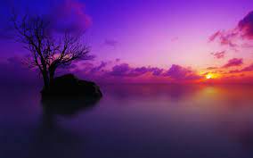 Purple Sunset Desktop Wallpapers - Top ...