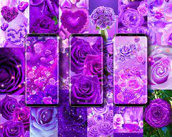Purple rose love live wallpaper for ...
