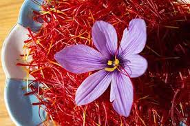 5 saffron health benefits for skin