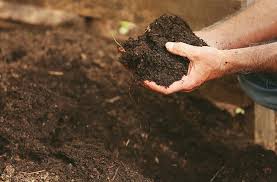 how to improve your soil 3 easy steps