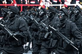 best elite special forces in the world
