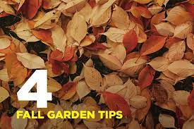 Fall Garden Tips To Prepare For The Season