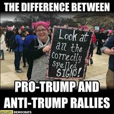 Image result for charlottesville related anti-trump memes