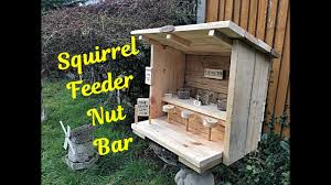 making a squirrel feeder nut bar you