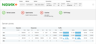 Track System Health With Nginx Plus Live Activity Monitoring