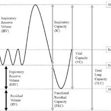 Standard Lung Volumes And Capacities From A Spirometer Trace