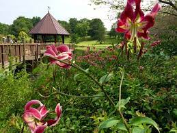 visit meadowlark botanical gardens for