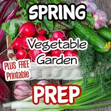 Spring Vegetable Garden Prep Plus Free