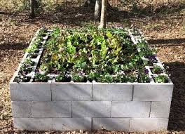 60 Affordable Raised Garden Bed Ideas