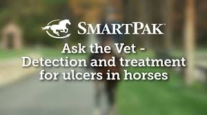 gastric ulcers in horses smartpak equine