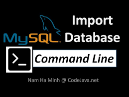 mysql import database using command
