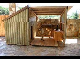 Steps To Build An Insulated Dog House