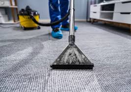 carpet cleaning why hire the pros