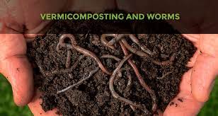 vermicomposting and worms world