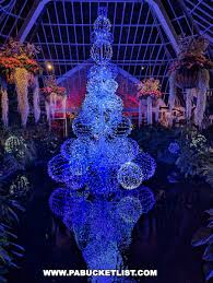 phipps conservatory s holiday flower