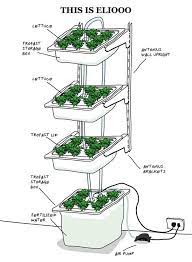 How To Build Indoor Hydroponic Gardens