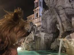 dog friendly things to do in rome a