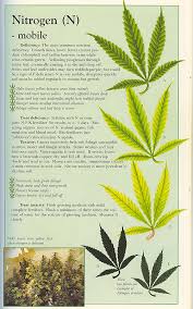 Weed Plant Deficiency Chart Bedowntowndaytona Com
