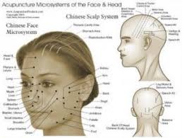 Stimulate Hair Growth With Acupuncture Therapy Acupressure