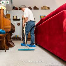 professional carpet cleaning service in