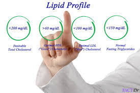 lipid profile healthy abnormal level