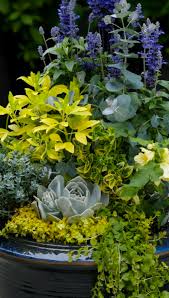 Design Tips For Container Gardens
