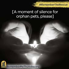 Image result for remember me thursday