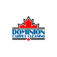 the best 10 carpet cleaning in winnipeg