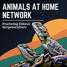 Animals at Home Network