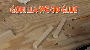 gorilla glue expands its line you