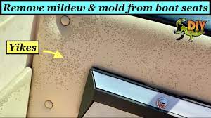 remove mildew mold stains from boat