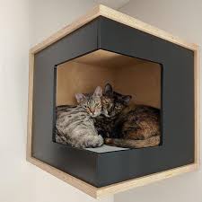 Wally Cornerbox Cat Shelf Cat Box Wall