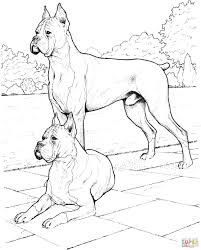 Cute dogs, realistic dogs, popular breeds, and more! Two Boxer Dogs Coloring Page Free Printable Pages For Dog Tures Color Bulldog Dogman Pug Colouring Funny Pictures To Baby German Shepherd Cute Puppy Print Oguchionyewu