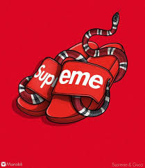 supreme and gucci wallpapers top free
