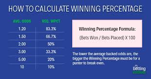 calculate sports betting roi yield
