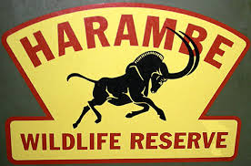 Animal Kingdom Harambe Wildlife Reserve Truck Spotted off Disney Property - Disney Every Day