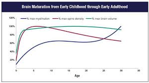 Chapter 1 Why Is Early Childhood Important To Substance