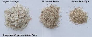 all your aspen bedding questions